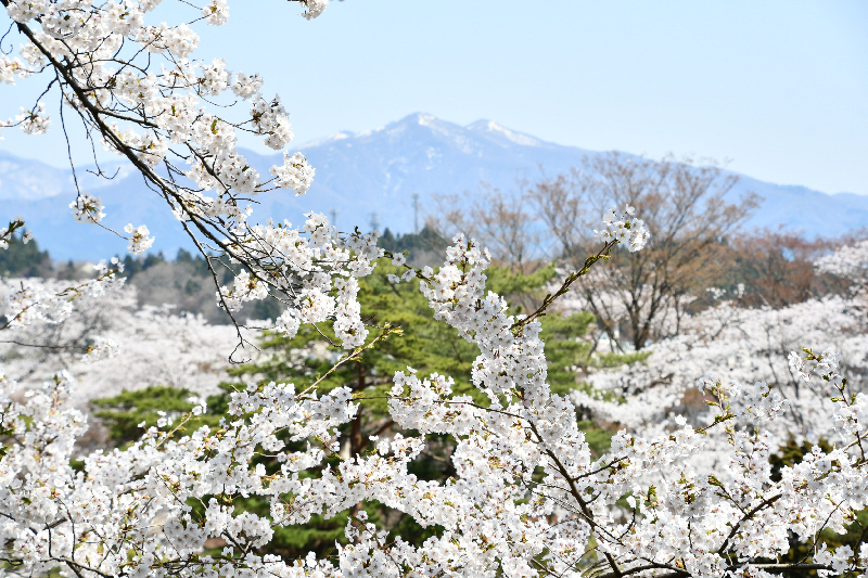 千秋公園