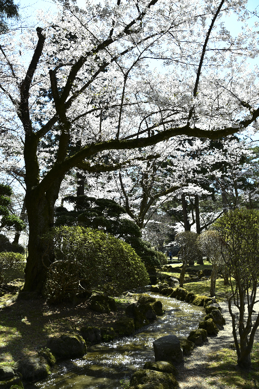 千秋公園