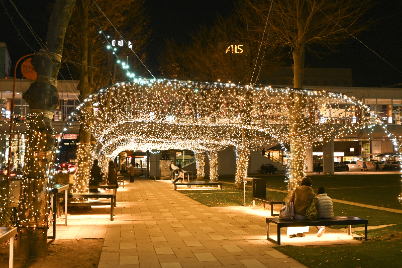 秋田駅西口駅前広場（芝生広場）