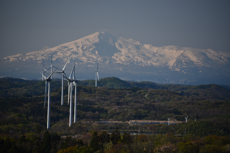 大森山公園