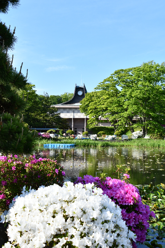 千秋公園のお堀