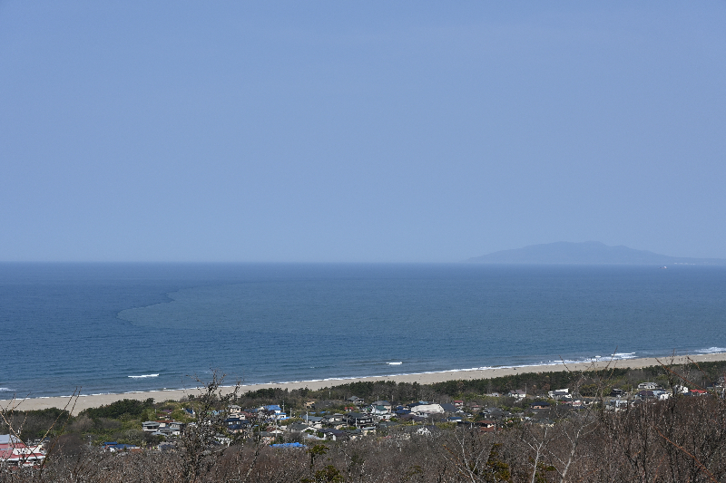 大森山公園