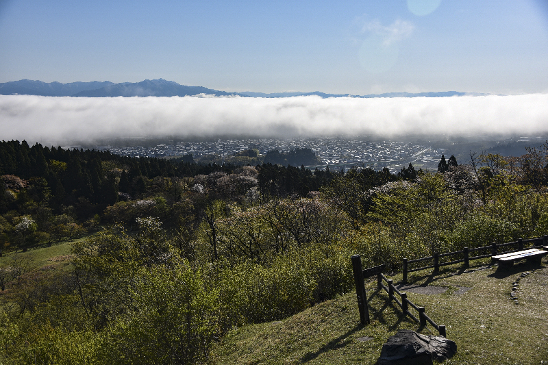 大森山公園