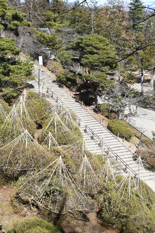 千秋公園