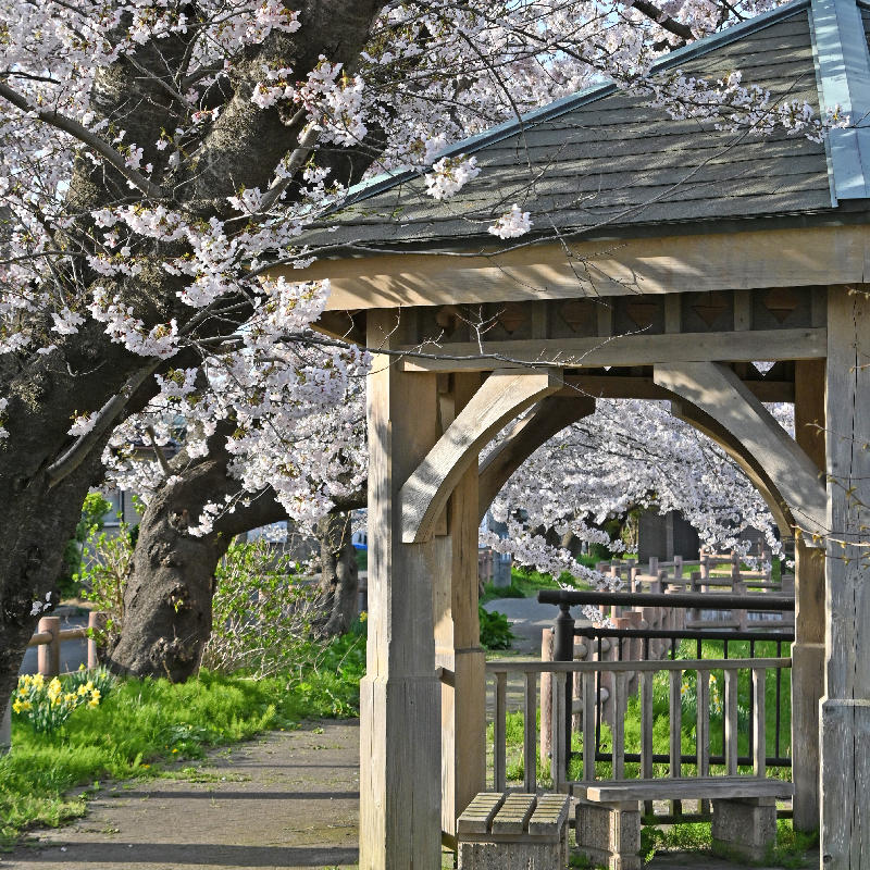 大川端帯状近隣公園