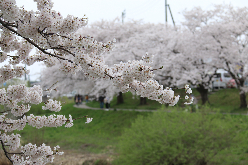 草生津川