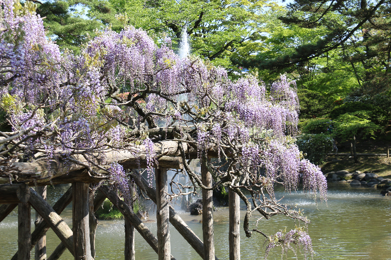 千秋公園