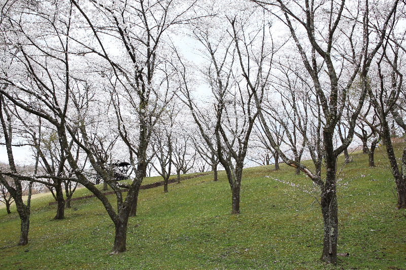 辺岨公園