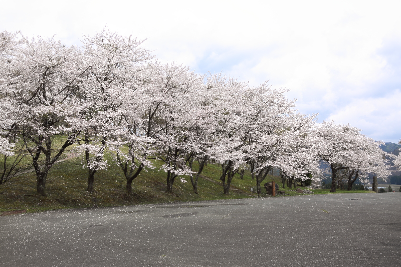 辺岨公園