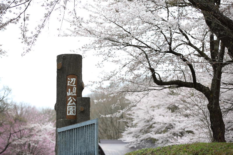 辺岨公園