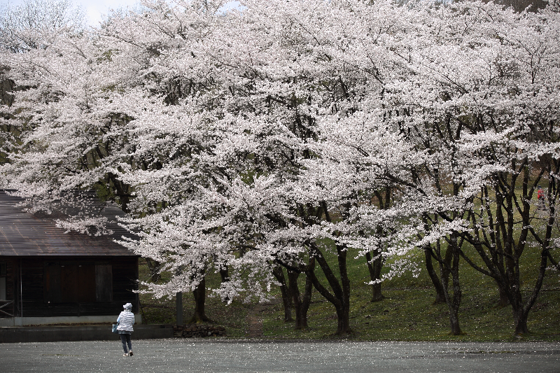 辺岨公園