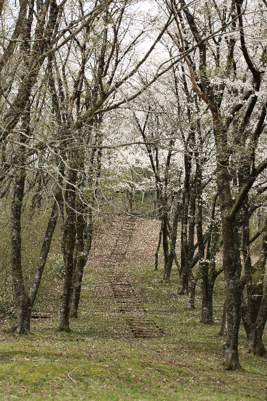 辺岨公園