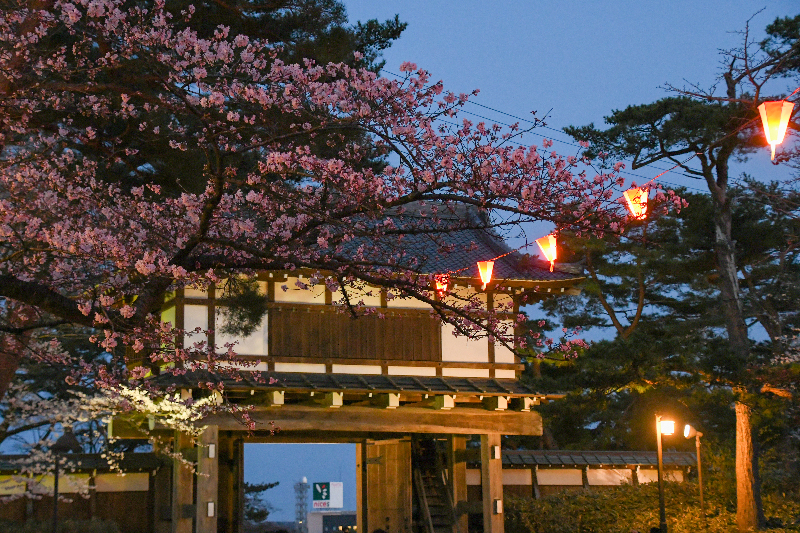 千秋公園