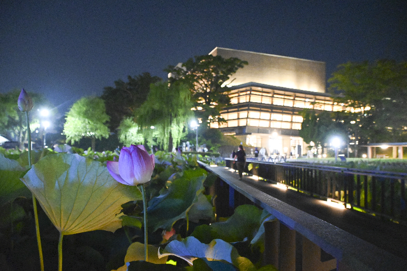 大手門の堀　遊歩道