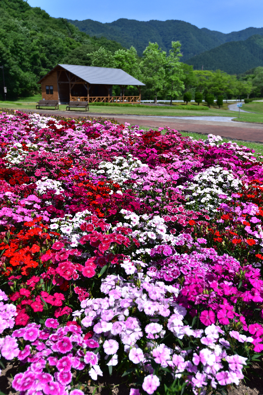 太平山リゾート公園