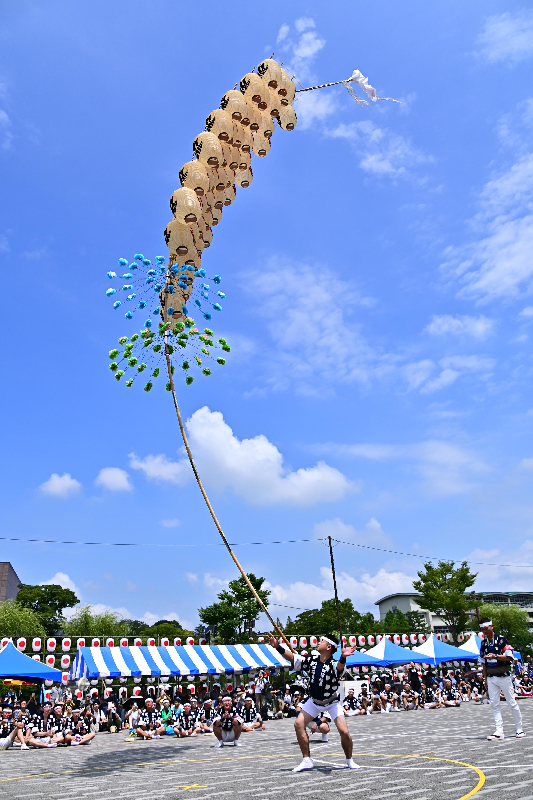 竿燈まつりの妙技大会の様子。男性がしならせた竿燈を腰で支えている画像。