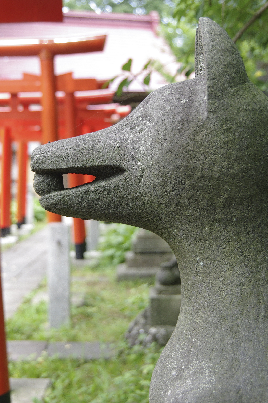 狐の石像の奥に連なった赤い鳥居が写った写真。