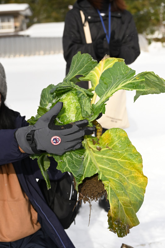 農家民宿 重松の家