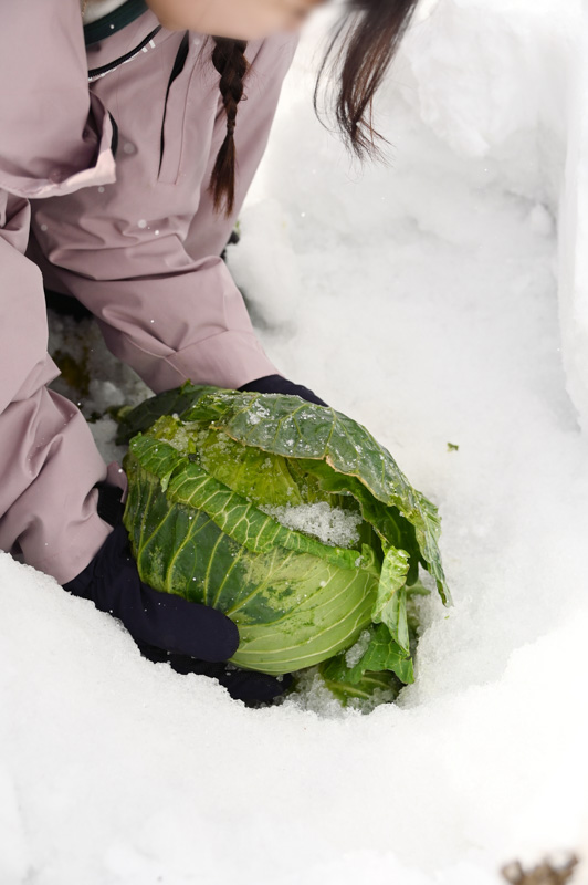 農家民宿 重松の家