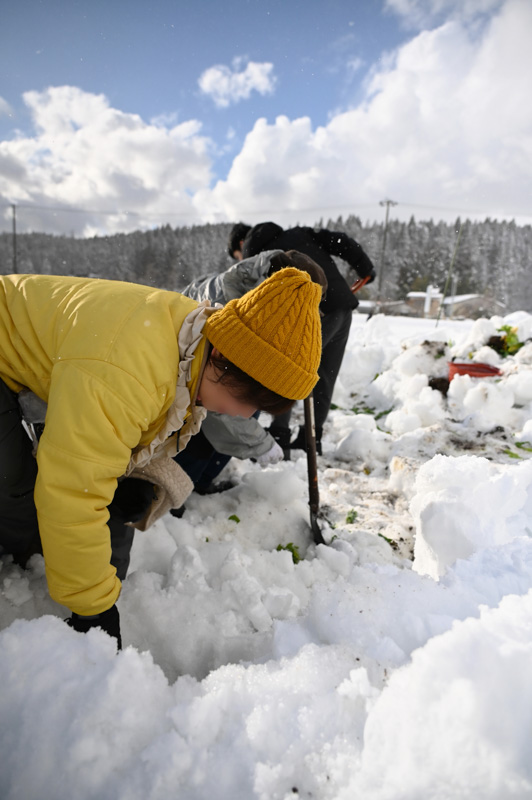 農家民宿 重松の家