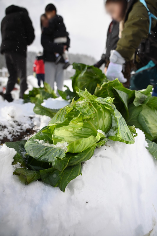 農家民宿 重松の家