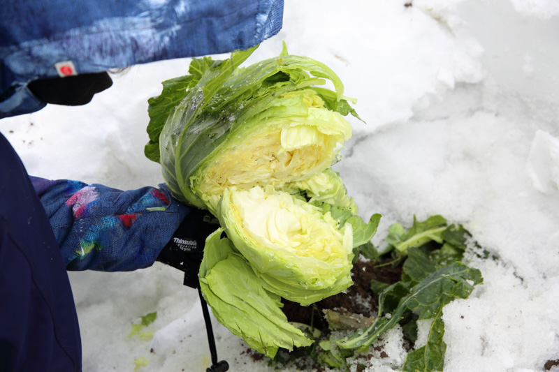 農家民宿 重松の家