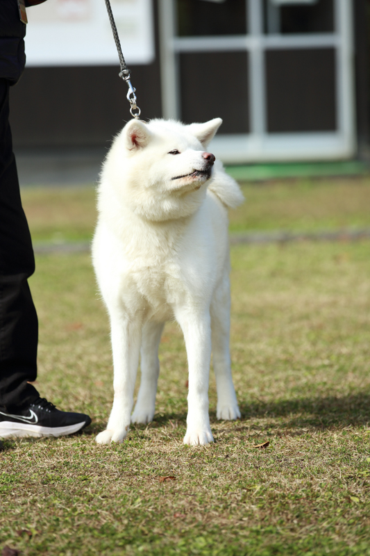 千秋公園