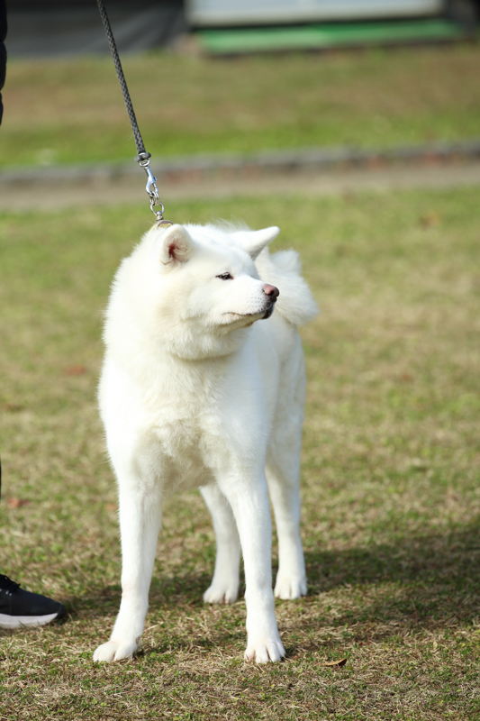 千秋公園