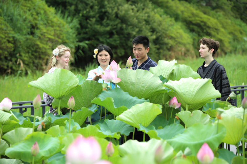 大手門の堀　遊歩道