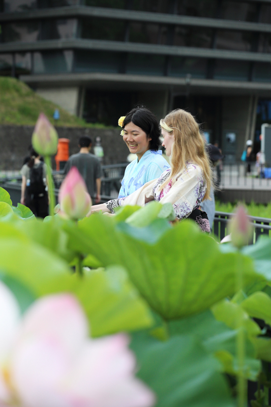 大手門の堀　遊歩道