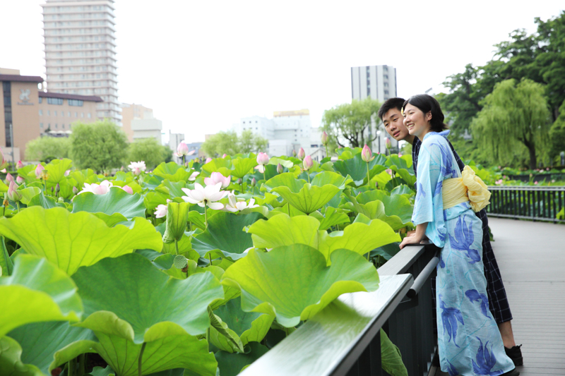 大手門の堀　遊歩道