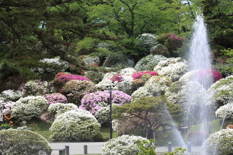 千秋公園