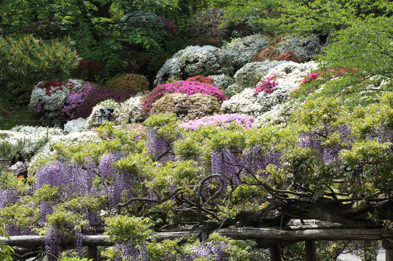 千秋公園